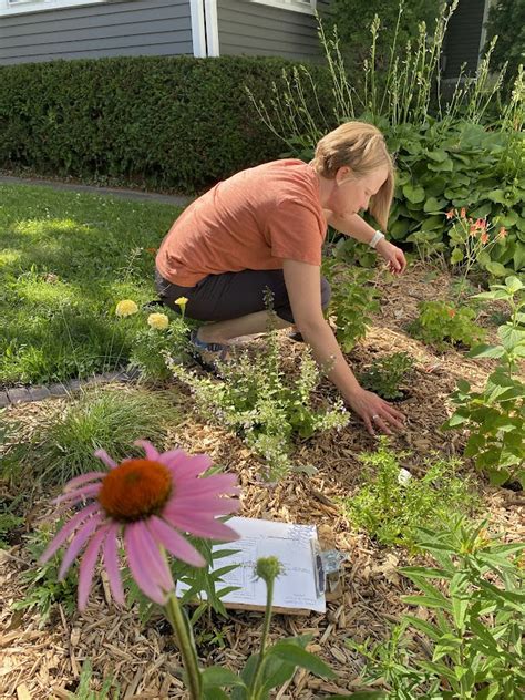 How To Use Your Lawns To Legumes Grant With Help From Sargents Nursery