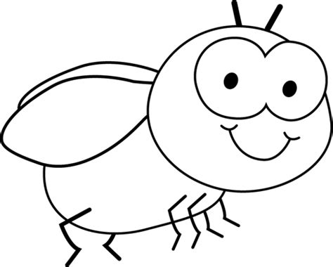 Black And White Fly Clip Art Black And White Fly Image Bug Coloring