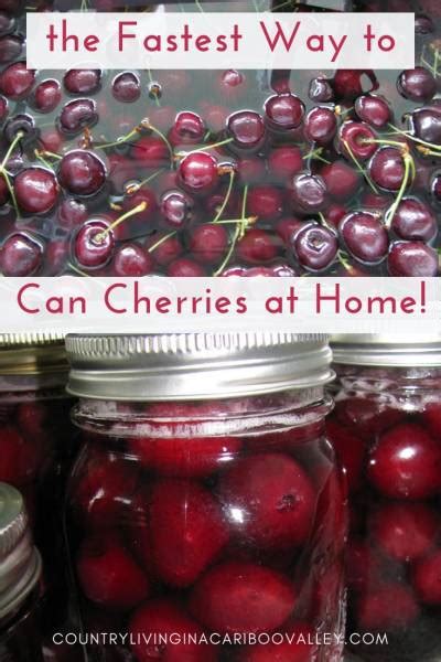 How To Can Fresh Cherries And Other Fruit Water Bath Canning