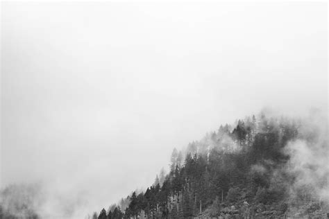 Free Images Tree Forest Mountain Snow Winter Cloud Black And