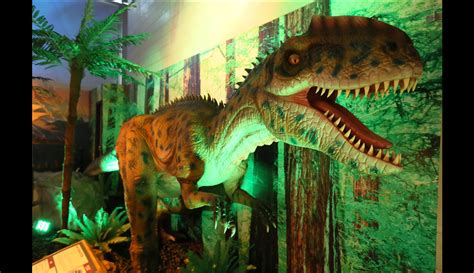 See more of pangaea land of the dinosaurs on facebook. Dinosaurs Around the World: Passport to Pangea - Reading ...