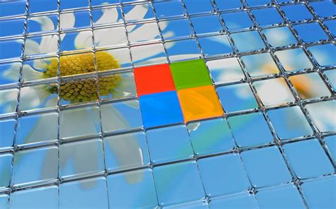 Flower And Windows 8 Logo In Glass 3d Wallpaper Free