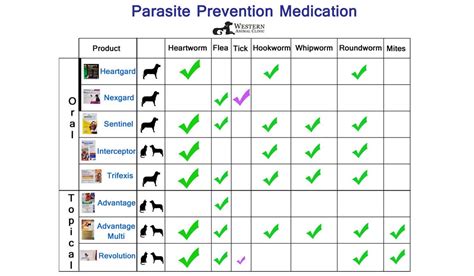 Flea And Tick Pill Prevention For Dogs
