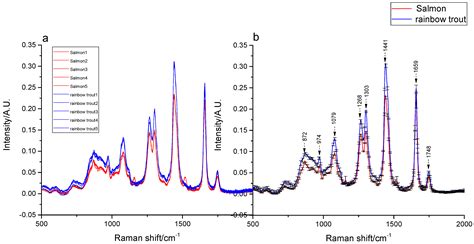 Like infrared (ir) spectroscopy, raman spectroscopy is a type of vibrational spectroscopy. Molecules | Free Full-Text | Rapid Identification of ...