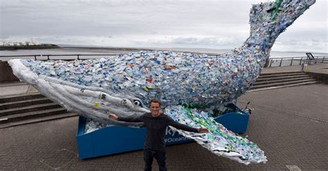 Why Is A Giant Whale Made From Plastic Bags And Bottles Coming To