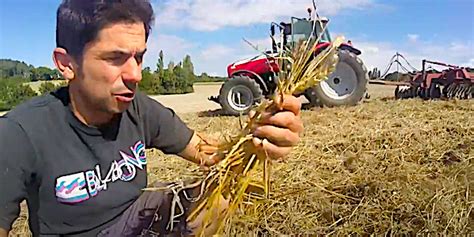 Déchaumage En Indre Et Loire Wikiagri Actualité Agricole