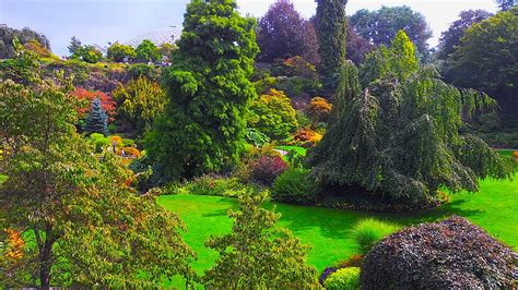 Man Made Garden Bush Canada Queen Elizabeth Gardens Tree Hd