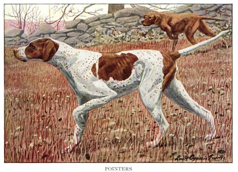 1927 Antique Pointer Print Louis Fuertes Hunting Dog Etsy Dog Print