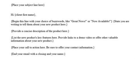 Product Introduction Email To Client How To Write With Examples