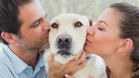 Why We Love Dogs More Than Humans Seeker