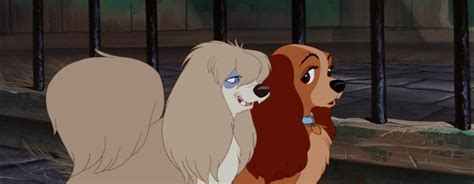 Lady went on an adventure when she met tramp, and they also saved the baby from a rat. Top 10 Disney Dogs: #5, Lady from "Lady and the Tramp" - LaughingPlace.com
