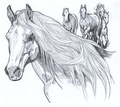 Wild Mustang Horse Drawing
