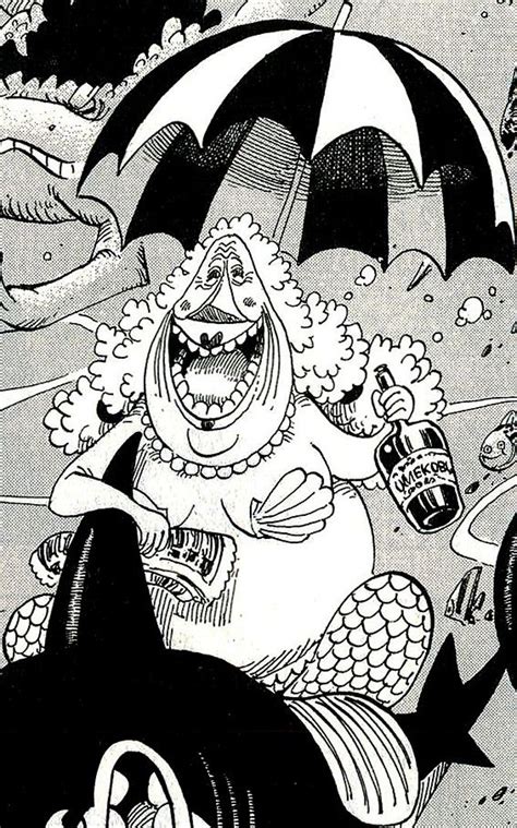 Kokoro One Piece Wiki Fandom