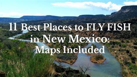 Where To Fly Fish On The San Juan River New Mexico Maps Flies And