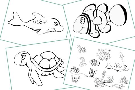 FREE Colouring - Sea Animals Early Years (EYFS) Printable Resource