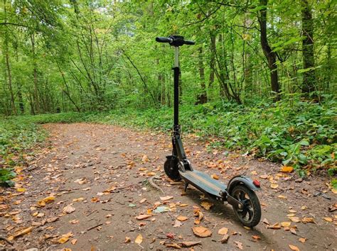Electric Scooter In The Forest On The Path Sports Hobby Stock Photo