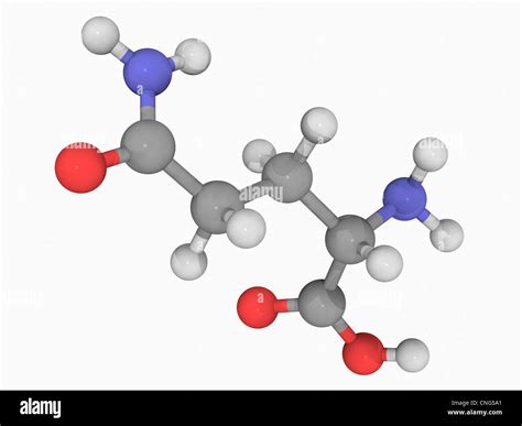 Amino Acids Hi Res Stock Photography And Images Alamy