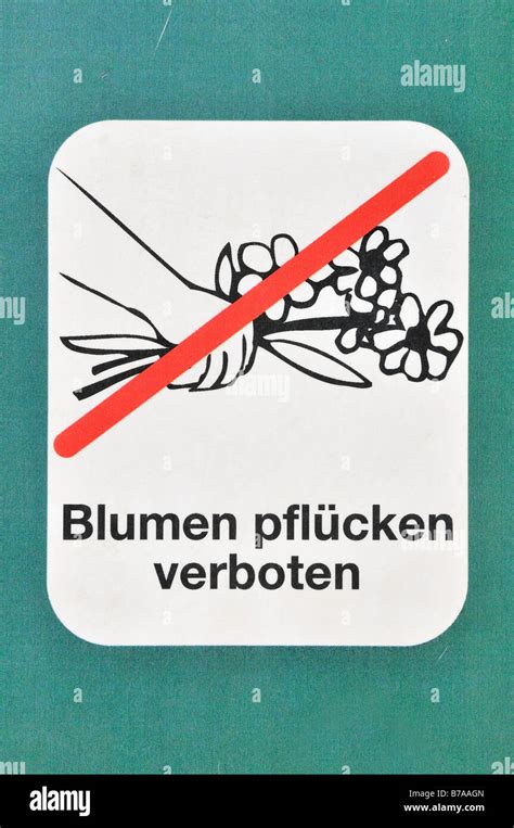 Sign Picking Flowers Is Forbidden Stock Photo Alamy