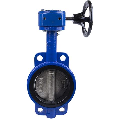 Wafer Style Butterfly Valves With Gear Operator Api International Inc