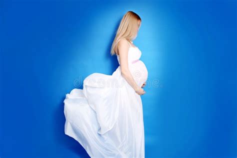 pregnant woman beauty portrait beautiful maternity concept mot stock image image of flying