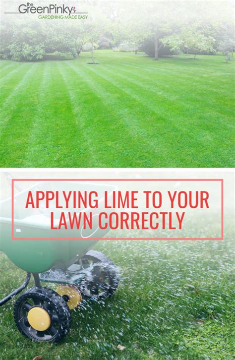 How To Apply Lime To Your Lawn — Our Tips And Tricks