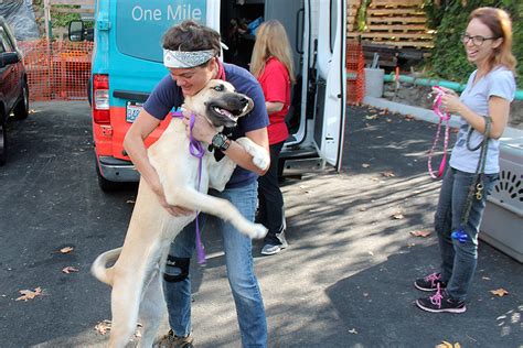 Bellevue Based Seattle Humane Animal Shelter Receives First Truckload