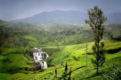 Hill Country In Sri Lanka ~ Trip Sri Lanka Best Holiday Packages