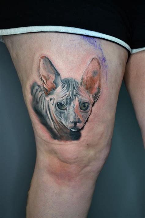 Sphynx Cat Portrait By Alan Aldred Tattoos