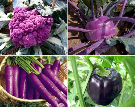 Colorful Vegetables 7 Easy Growing Purple Vegetables Naturebring