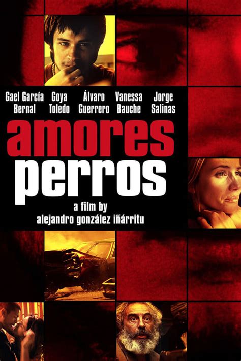 Amores Perros 2000 — The Movie Database Tmdb