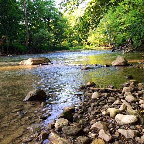 Spring Time Sandusky River Bucyrus Oh Landscape Great River