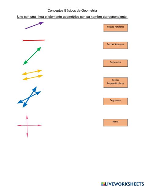 Conceptos Basicos De La Geometria Jokawevq