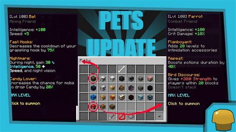 GOTTA CATCH 'EM ALL! (Pets Grind) - Hypixel Skyblock - YouTube