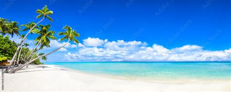 Beautiful Tropical Island With Palm Trees And Beach Panorama As Background Image Stock Photo