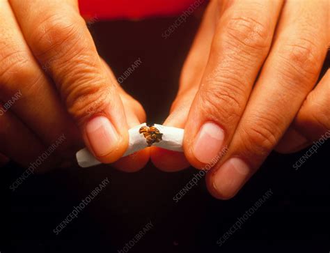 quitting smoking stock image m370 0716 science photo library