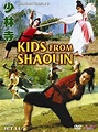 El tempol de Shaolin 2 - Película 1984 - SensaCine.com