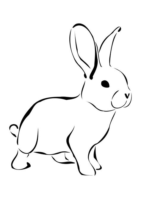 Enjoy a wonderful and interactive experience. Free Printable Rabbit Coloring Pages For Kids