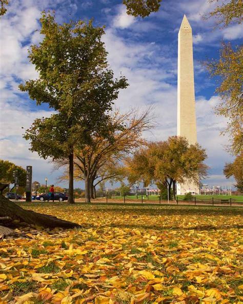 najlepsze miejsca do fotografowania jesiennych liści w dc waszyngton