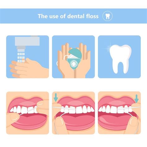 Flossing Tip Use A Gentle Rubbing Motion When Flossing And Curve The