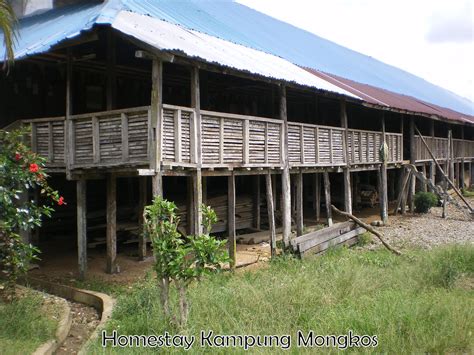 Rumah panjang amat terkenal di negeri sarawak. Sarawak Homestay