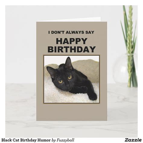 Black Cat Birthday Humor Card Zazzle Birthday Humor Funny Cards