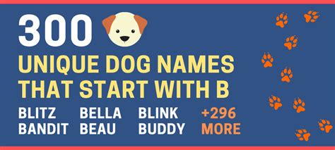 300 Unique Dog Names That Start With B For Male And Female Green Garage