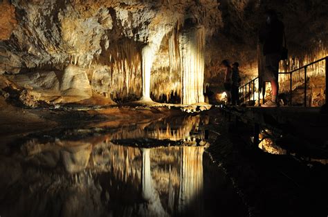 Parque Nacional De Mammoth Cave Viaje Al Patrimonio