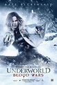 Kate Beckinsale Kembali Beraksi di Poster Terbaru Underworld: Blood ...