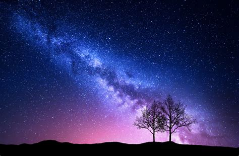 Starry Sky With Pink Milky Way And Trees Night Landscape