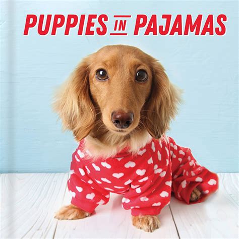 Puppies In Pajamas Hardcover