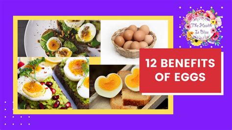 12 Benefits Of Eggs Egg Benefits For Health Youtube