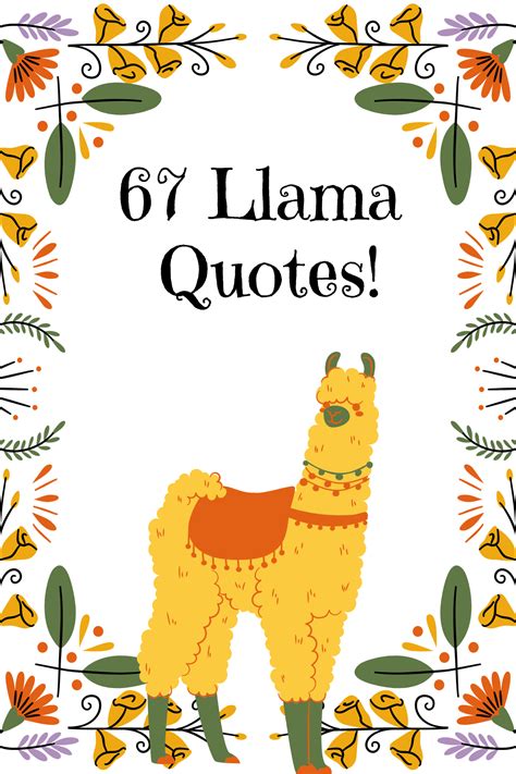 67 Adorable Llama Quotes Captions And Sayings Darling Quote