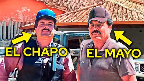 El Mayo The Real Boss Of Sinaloa Cartel Youtube