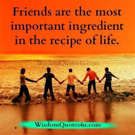Friends Are The Most Important Wisdom Quotes